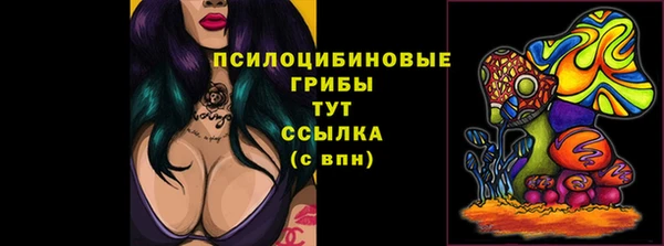 прущие крисы Абинск