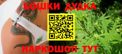 стафф Сланцы