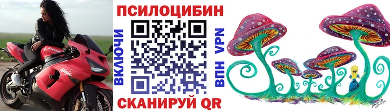 магазин продажи   Фрязино  Галлюциногенные грибы прущие грибы 