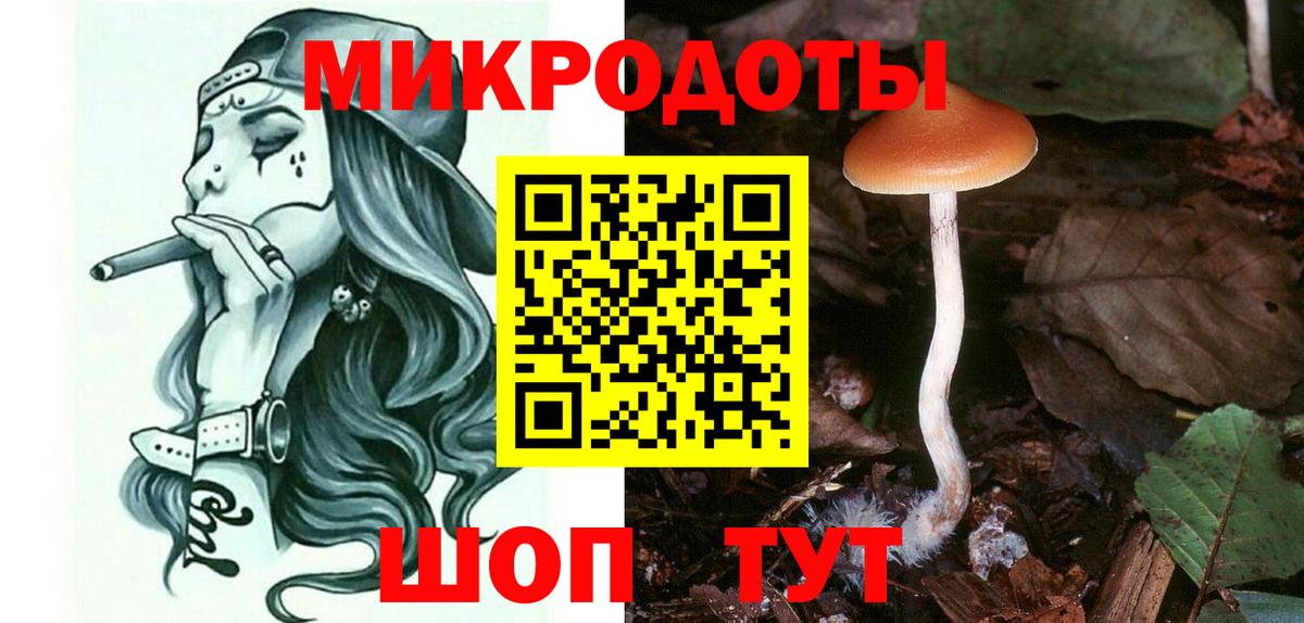 Галлюциногенные грибы Psilocybine cubensis  Вход с VPN  Фрязино  цены   Псилоцибиновые грибы прущие грибы 